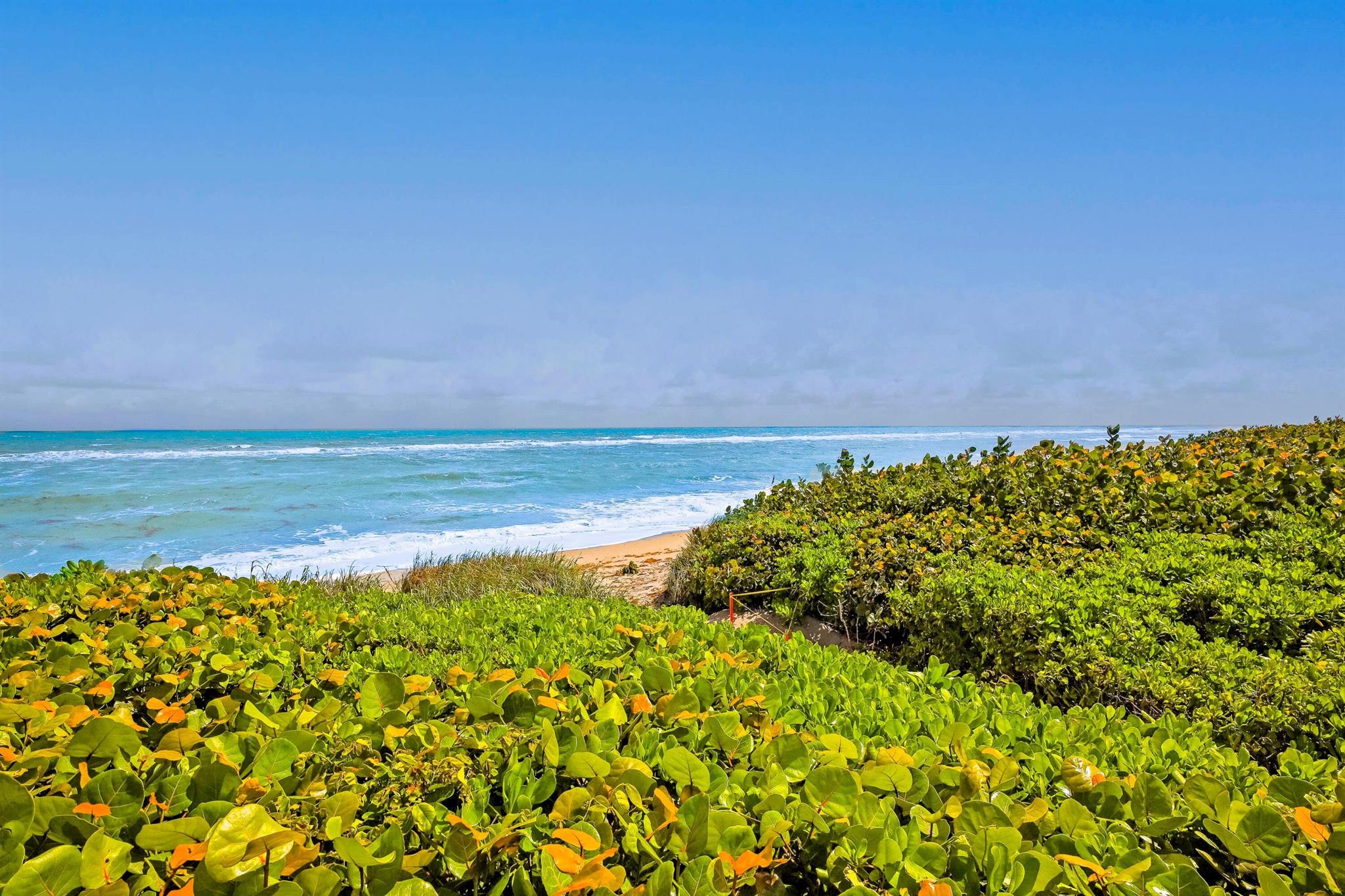JUNO SHORES RESORT CONDO - Residential Lease