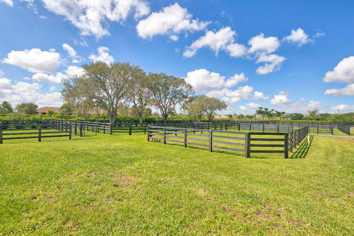 Palm Glade Ranches - Land