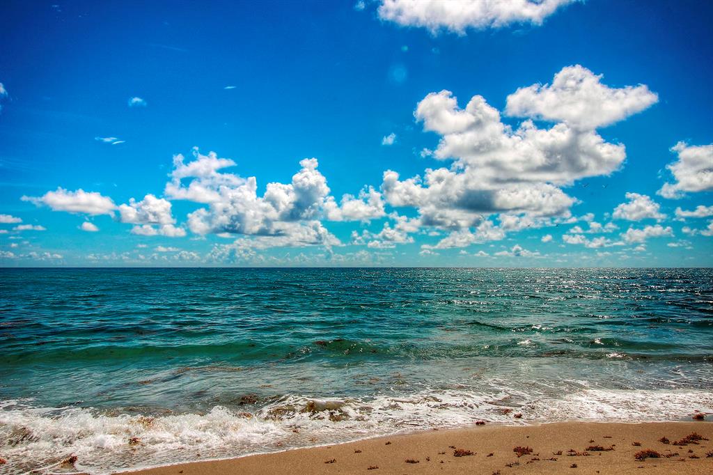 SHORES 2 - Residential