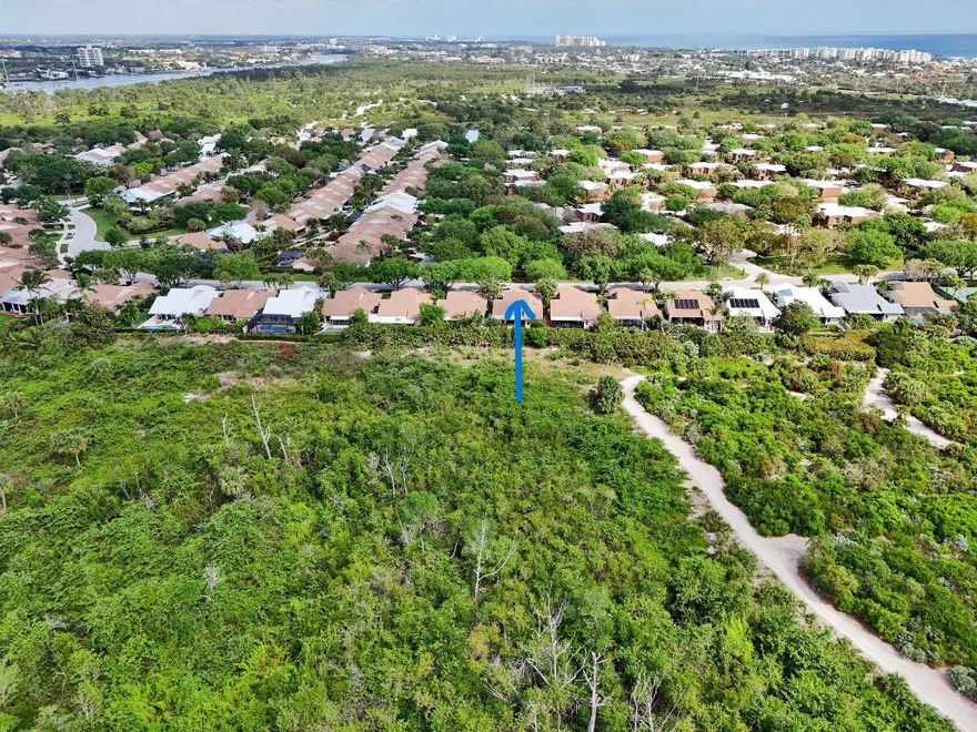 LOCATION LOCATION is the definition of this ONE STORY single family and RARELY AVAILABLE PRESERVE HOME in the highly sought after River Bluffs. You hit the Trifecta on this 1: Tucked betwen the Ocean and Intracoastal on a Preserve STEPS TO COMMUNITY AMENITIES - RESORT POOL, walking path, Dog Park, tennis/pickleball. WALK/BIKE TO BEACH, shopping, dining, theatre. PRIVATE LOCATION. Green space in front and preserve behind your home. Vaulted Ceilings, Open Floor Plan, Impact Windows, Coquina Flooring, Exquisite Cherry Cabinets with Granite Countertops, SS Appliances. Primary Suite boasts marble tile, custom vanity and skylights. Enjoy your afternoons while grilling, sitting under the Extended Patio Roof watching the sights and sounds of nature, HUMMINGIRDS love the Bottlebrush in the yard.