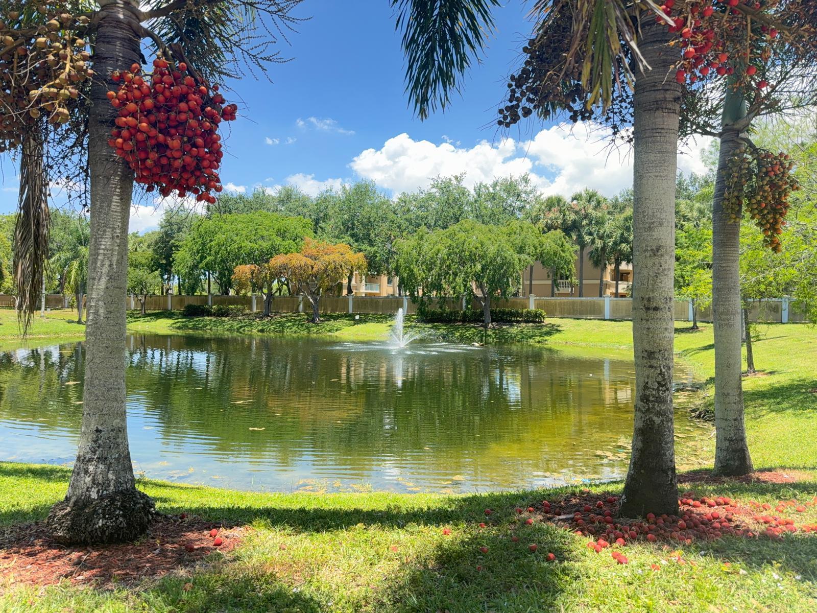 SORRENTO LAKES AT SUNRISE POINT - Residential