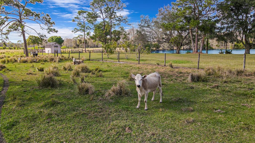 RANCH COLONY - RANCH ESTA - Residential
