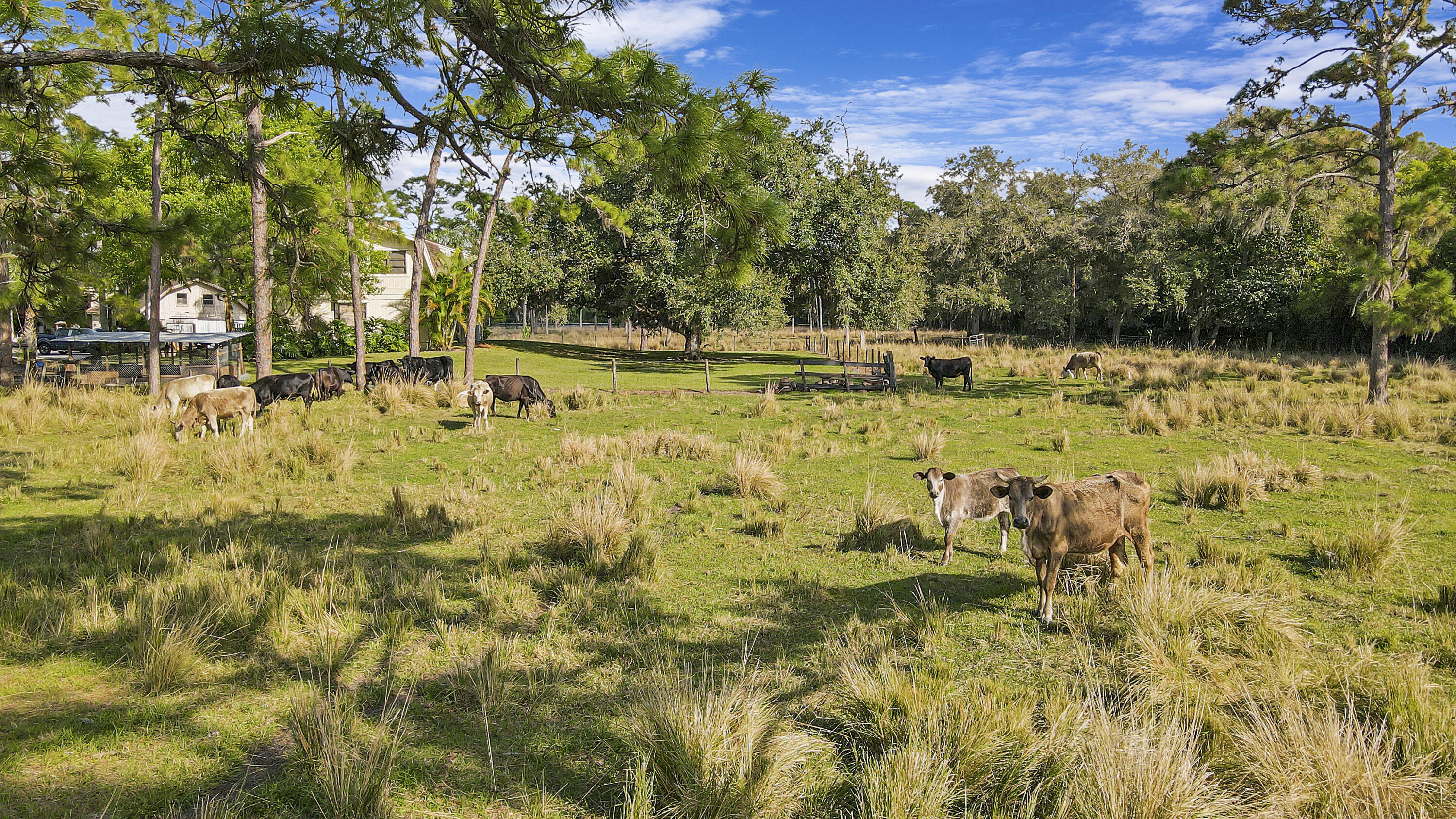 RANCH COLONY - RANCH ESTATES - Residential