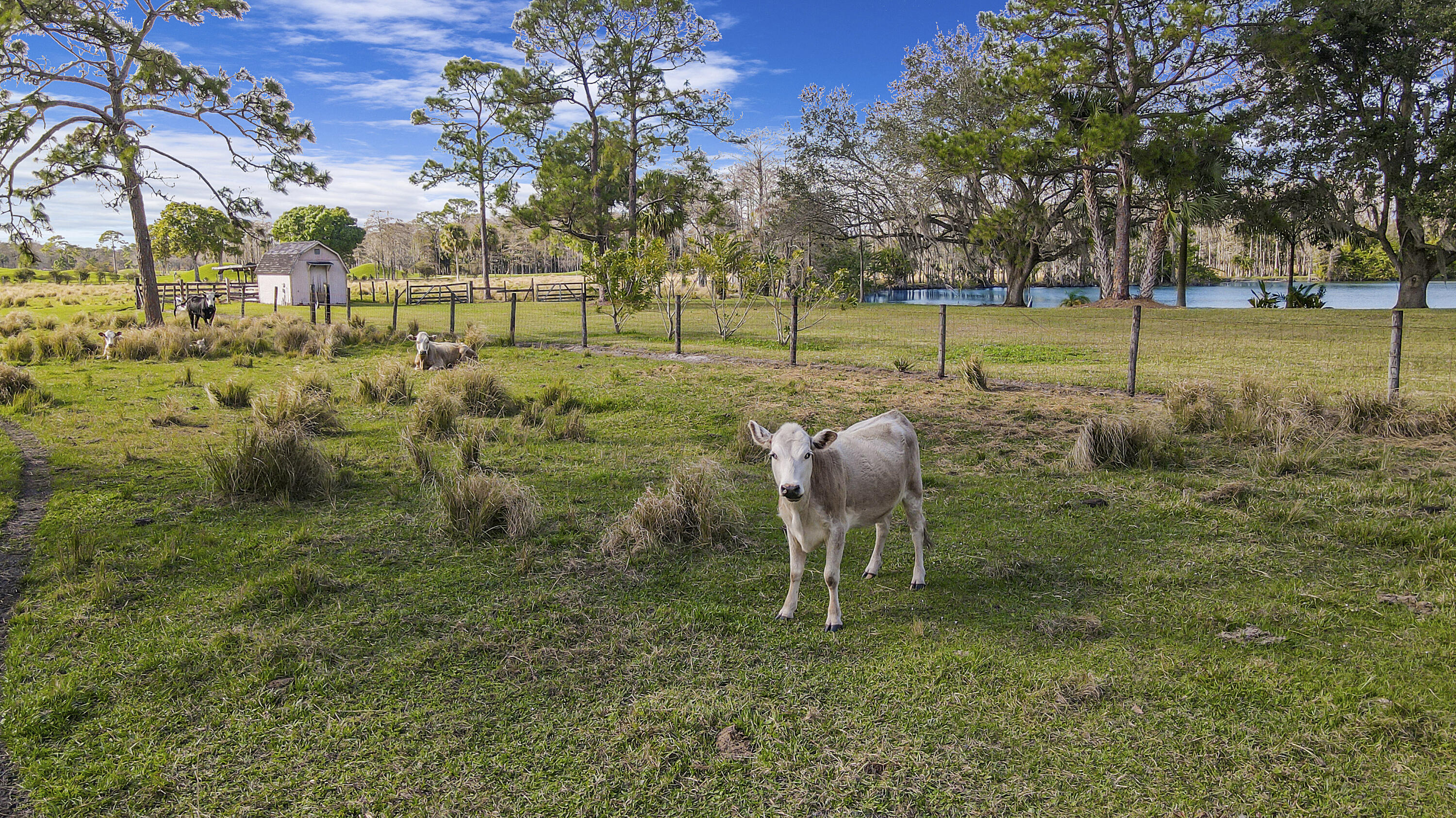 RANCH COLONY - RANCH ESTATES - Residential