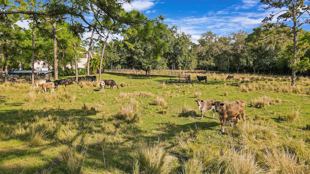 RANCH COLONY - RANCH ESTA - Residential
