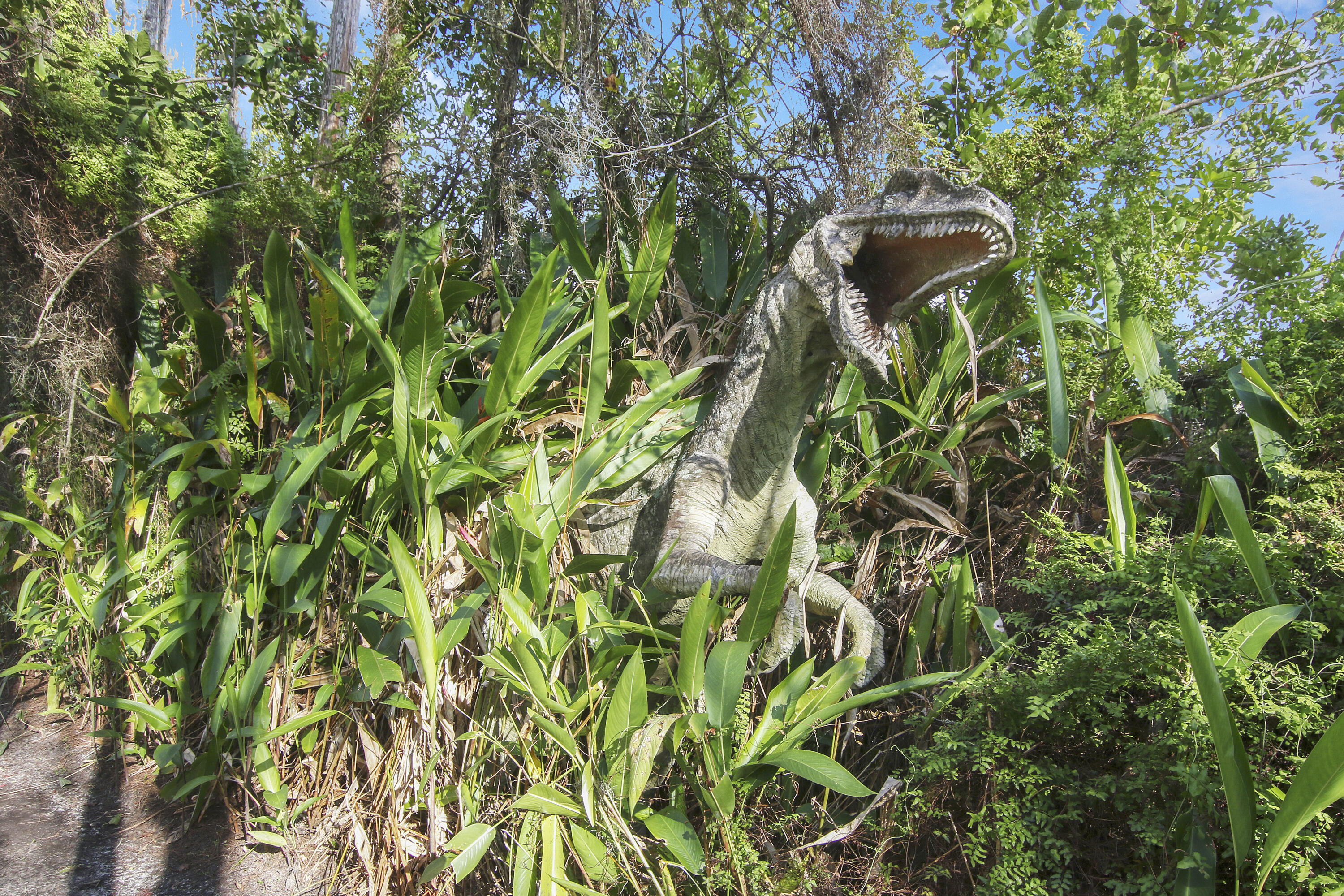 RANCH COLONY - RANCH ESTATES - Residential