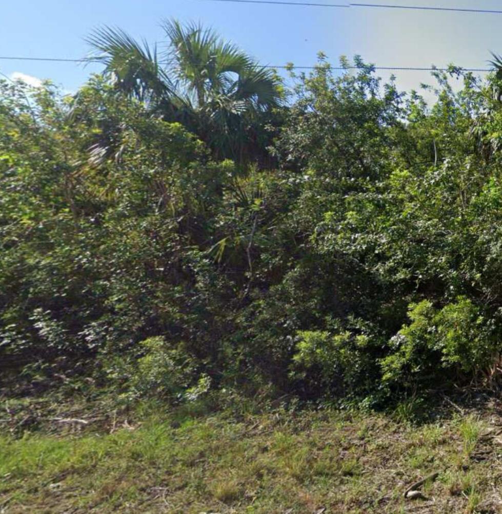 Lot size: 10,018 sq ft (≈0.23 acre) -- ample space to build your dream home Lot features: Buildable parcel, may require additional fill, located in unincorporated county, west of US‑1, on an unpaved (dirt) road with county road frontage Utilities: not connected to city services--relies on private septic system and well water Zoning/Restrictions: No HOA, no deed restrictions--offers flexibility for diverse building plans Location Highlights: nestled near the up‑and‑coming Bayside Lakes shopping district, with easy access to major highways; zoned for excellent schools (Westside Elementary, Southwest Middle, Bayside High)