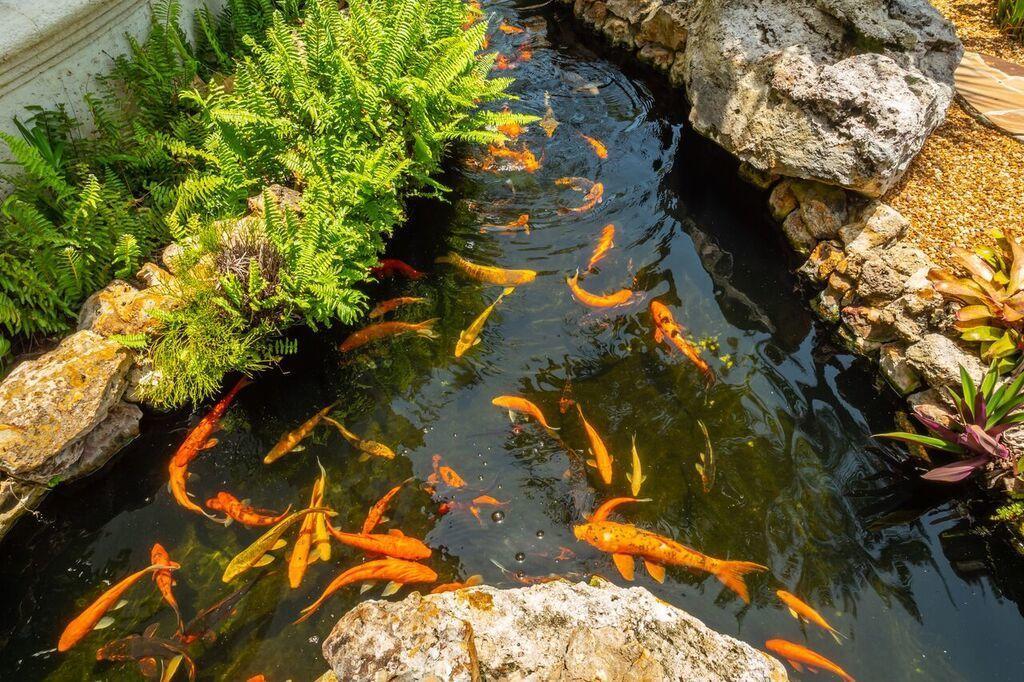 SAILFISH POINT PLAT 26 - Residential