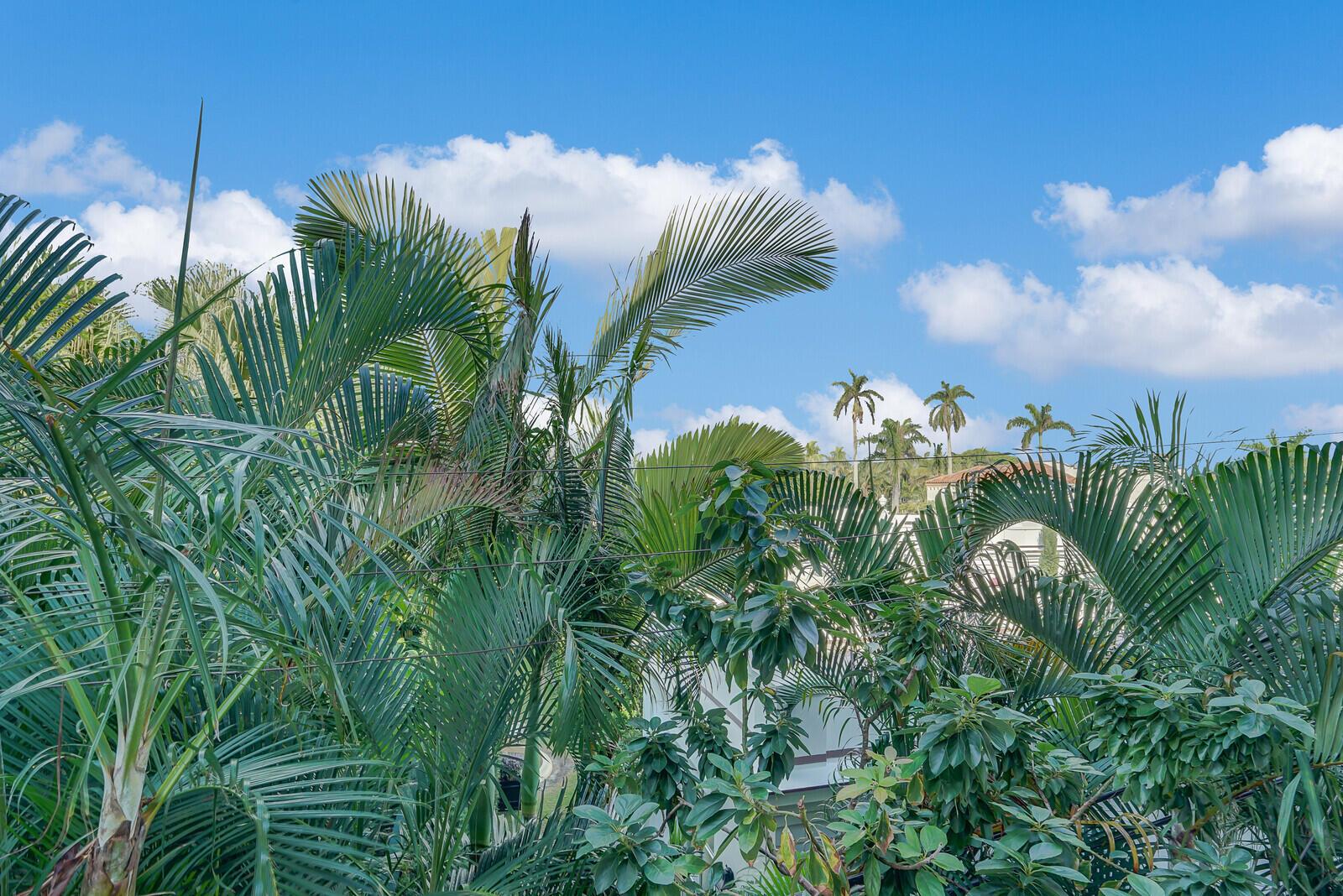 PALM BEACH ATLANTIC CONDO - Residential