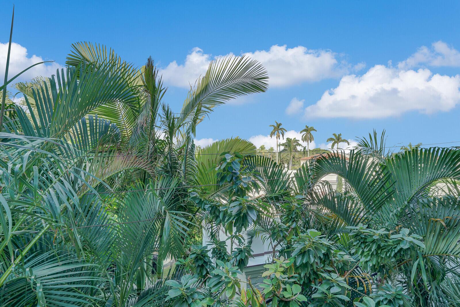 PALM BEACH ATLANTIC CONDO - Residential