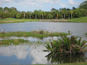 IBIS GOLF AND COUNTRY CLU - Residential