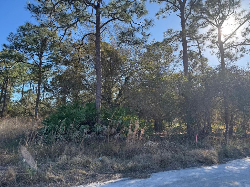 Photo of 10653 Lighter Wood Lane, Fort Pierce, FL 34945 (MLS # R11161976)