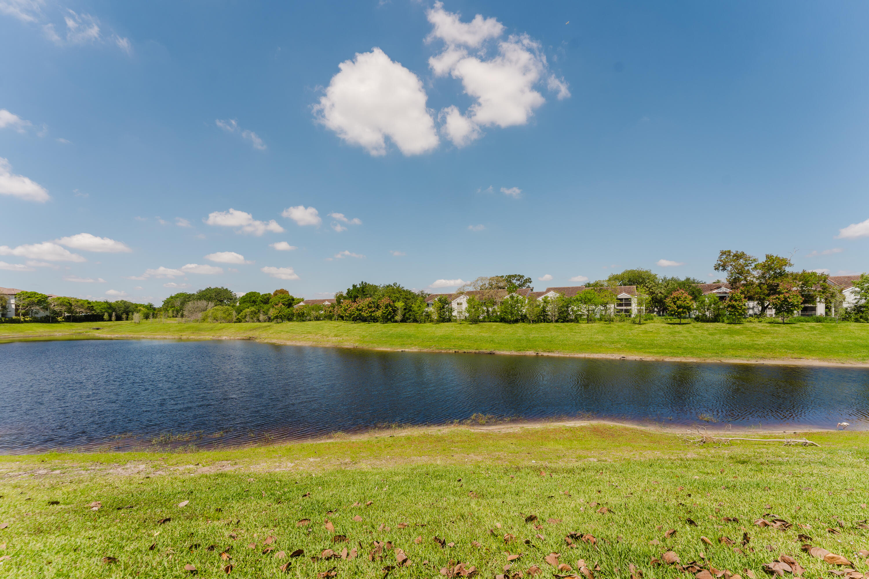 RESIDENCES AT PALM AIRE - Residential