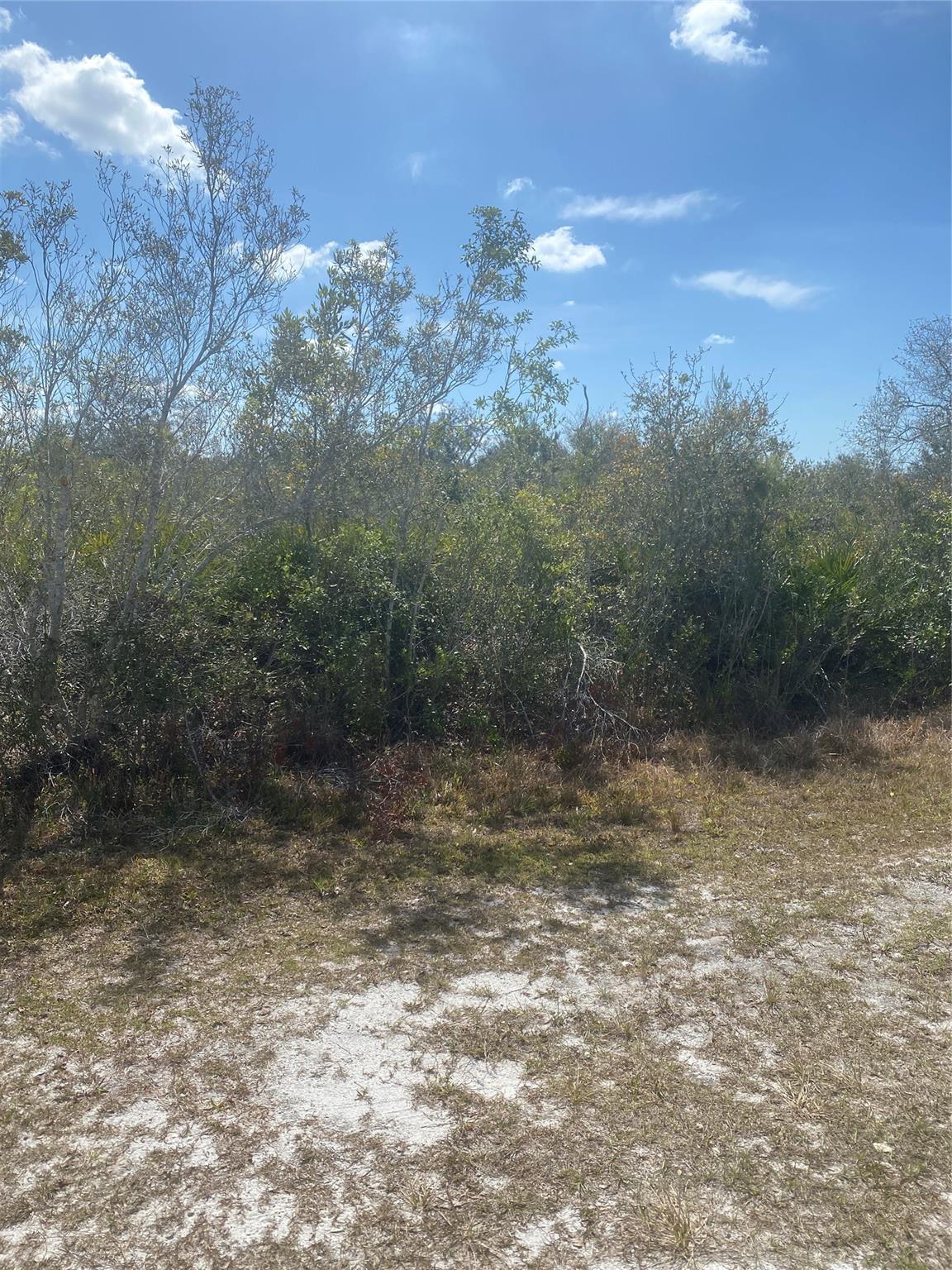 Lot 5 BLK 341 Palm Beach Dr