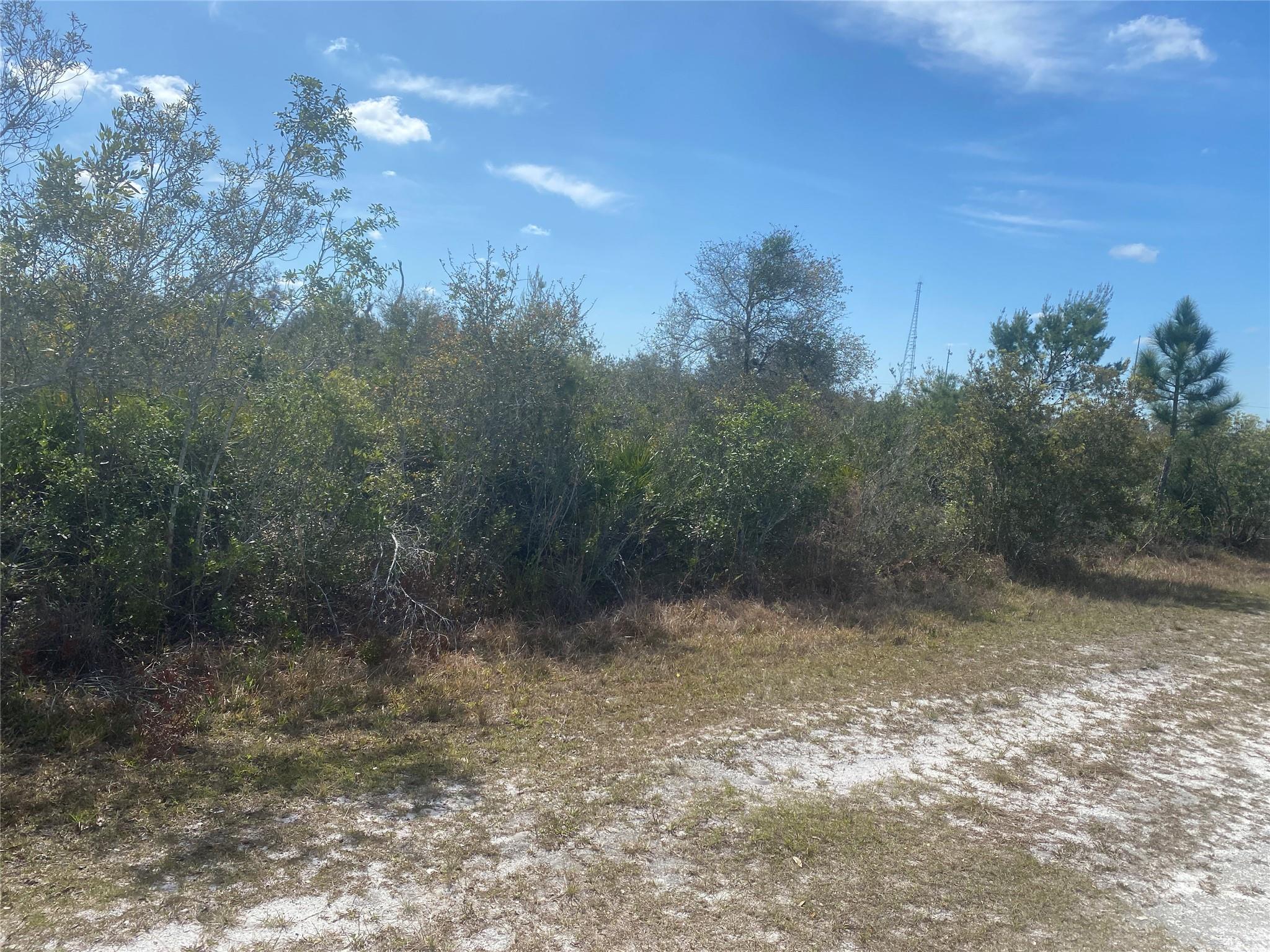 This lot is indicated to be Multifamily, BUT there is a note in the property records to verify with the County or local authority. The owner has no knowledge of any change since he bought the lot. Note: This Community is gated, but the subject lot is outside the gate!