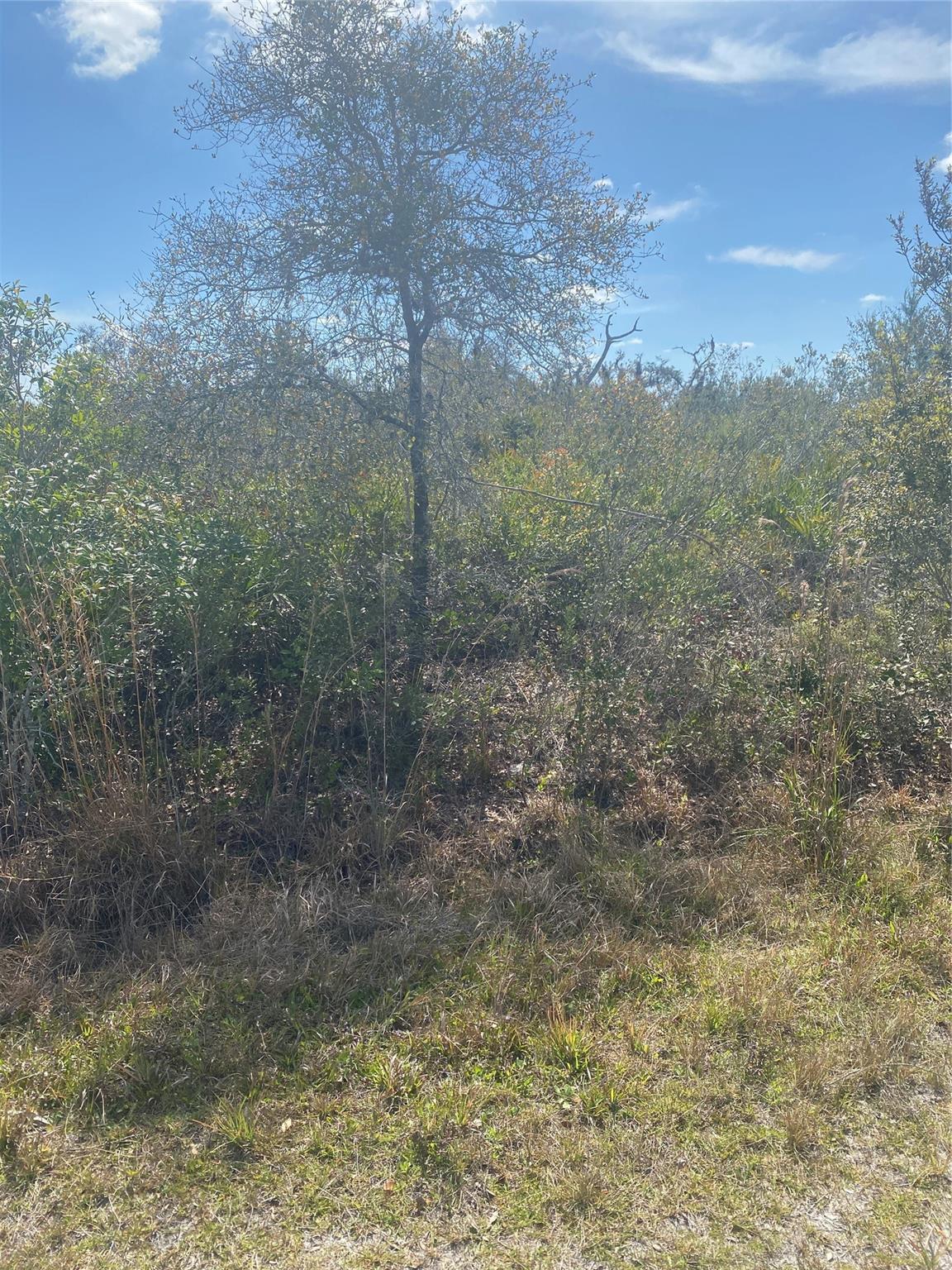 Lot 5 BLK 341 Palm Beach Dr
