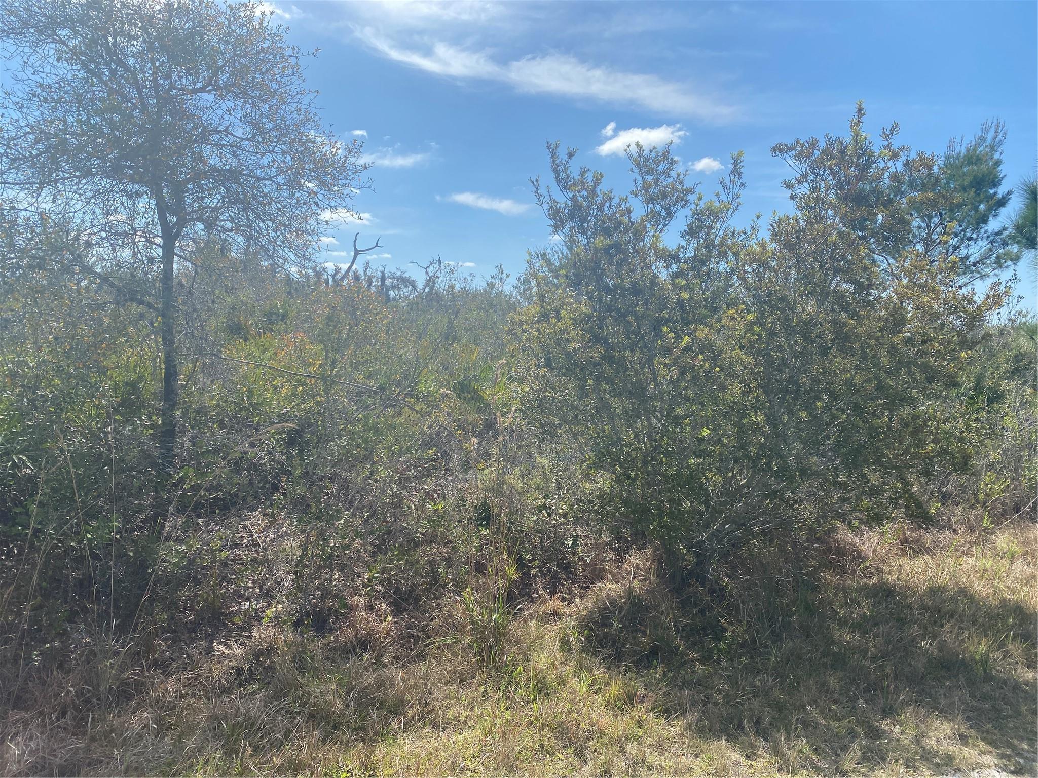 Lot 5 BLK 341 Palm Beach Dr