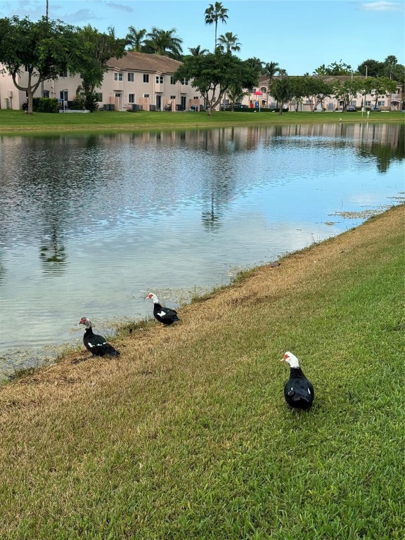 Venetia Gardens Condo - Residential Lease