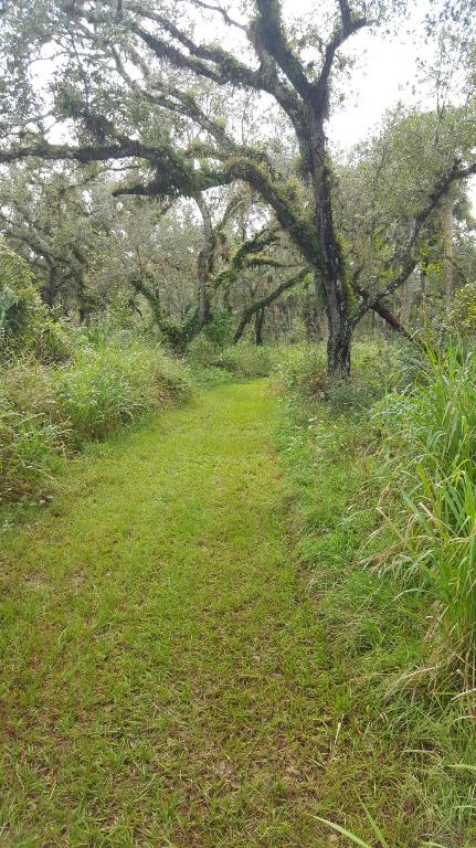 Florence M. Hatcher S/D - Land