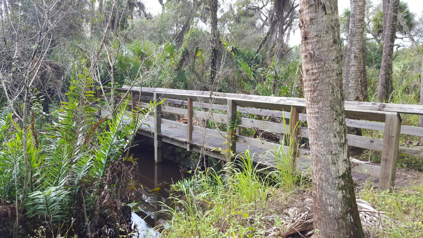 Florence M. Hatcher S/D - Land