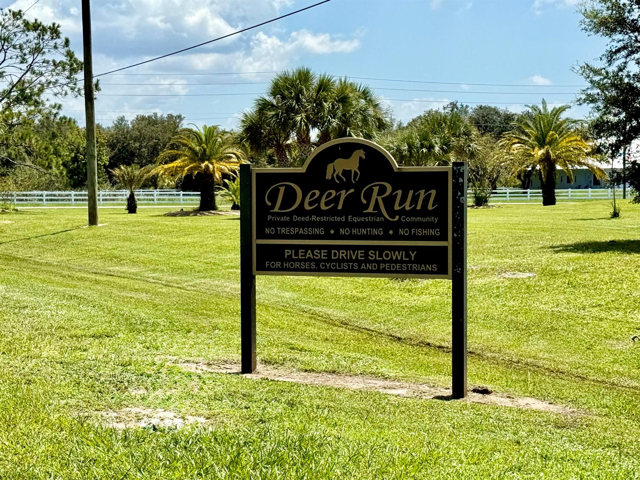 305 Fawn Trail Street