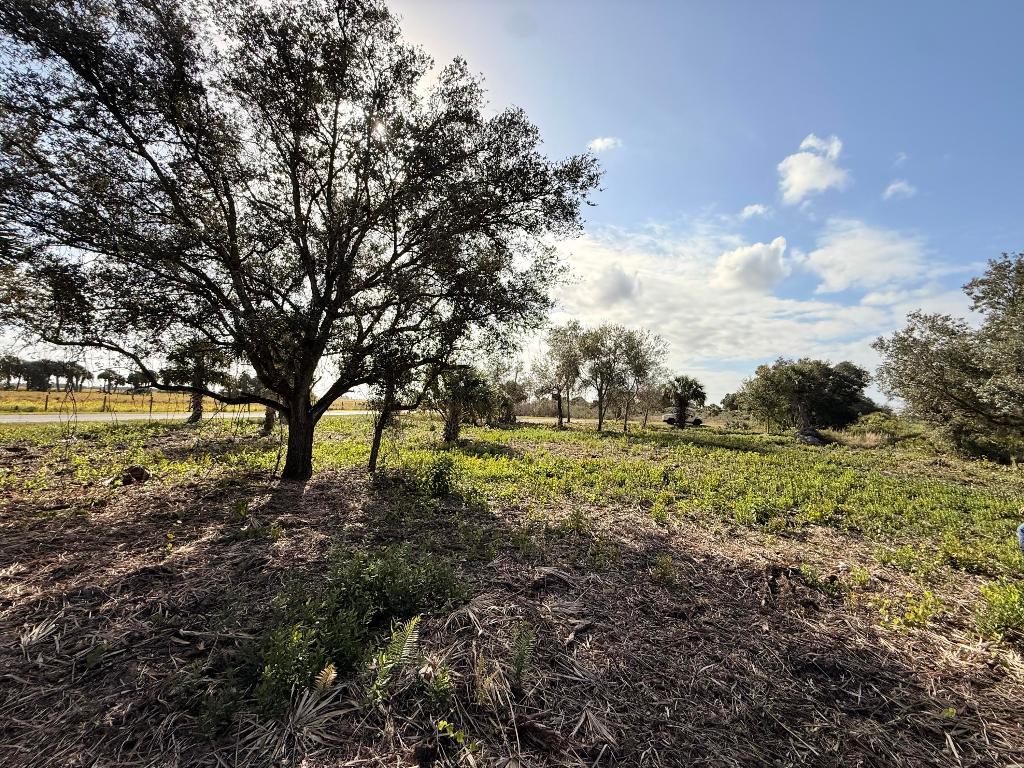 Vikings Prairie - Land