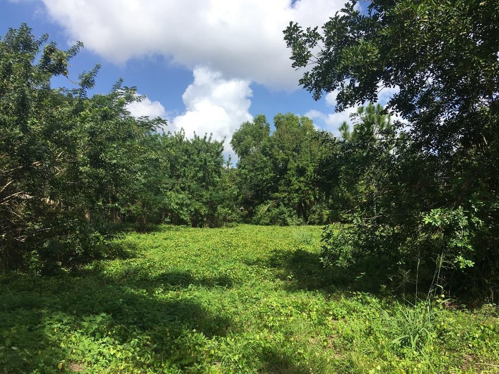 Only 6 parcels on this street. This is the only vacant lot on the street.ZONING HAS BEEN RESOLVED. NOW SINGLE FAMILY HOME.Serious buyers inquiries.
