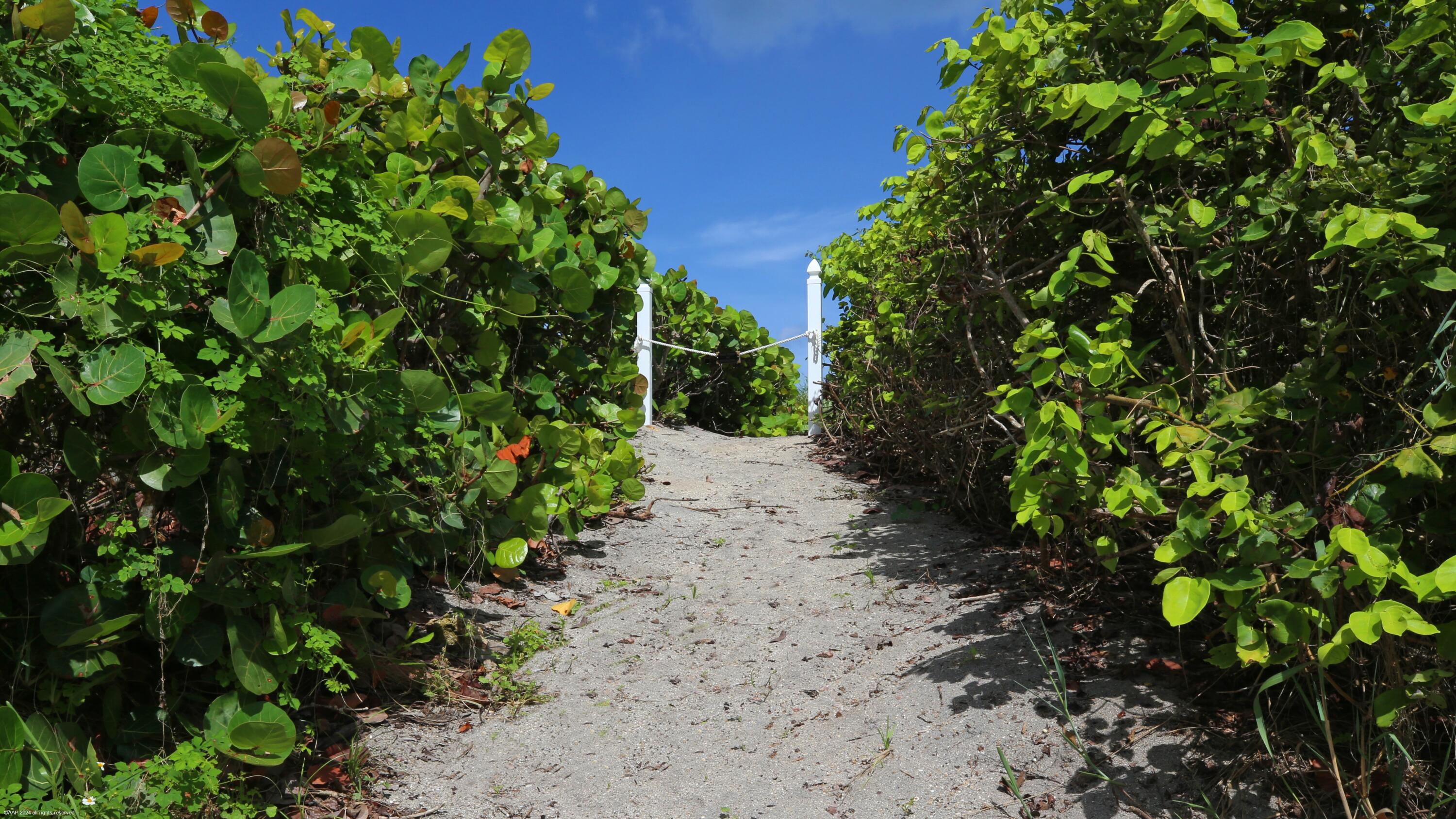 JUPITER ISLAND - Residential