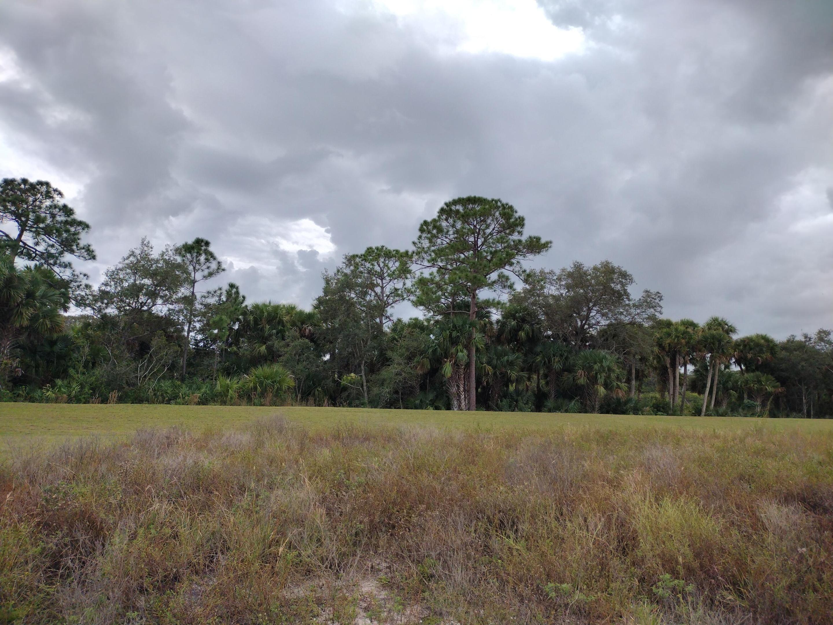 Hemingway Estates - Residential