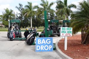 PALM GREENS - Residential