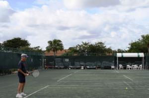 PALM GREENS - Residential