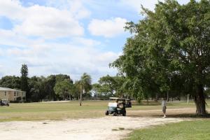 PALM GREENS - Residential