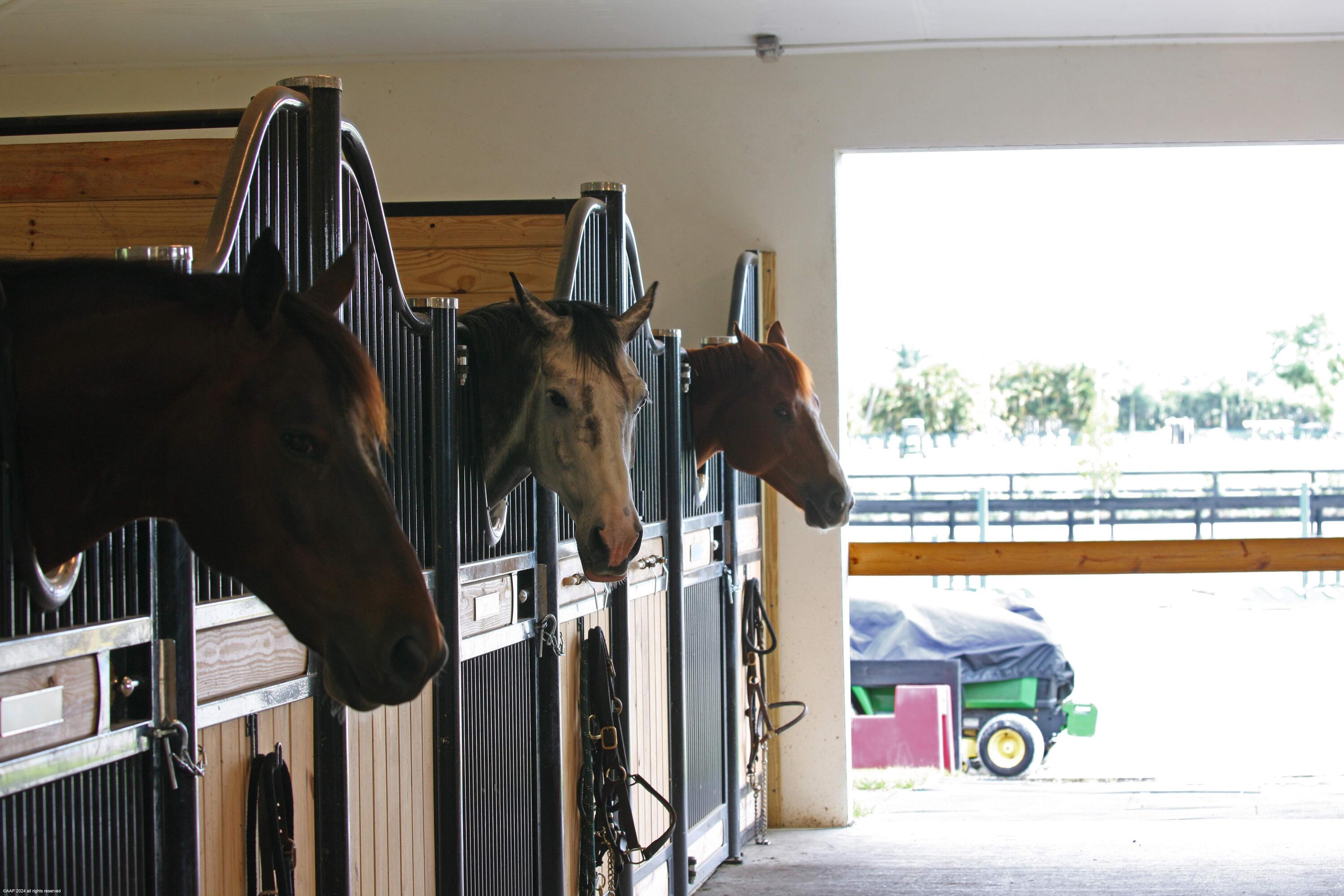 Rustic Ranches - Land