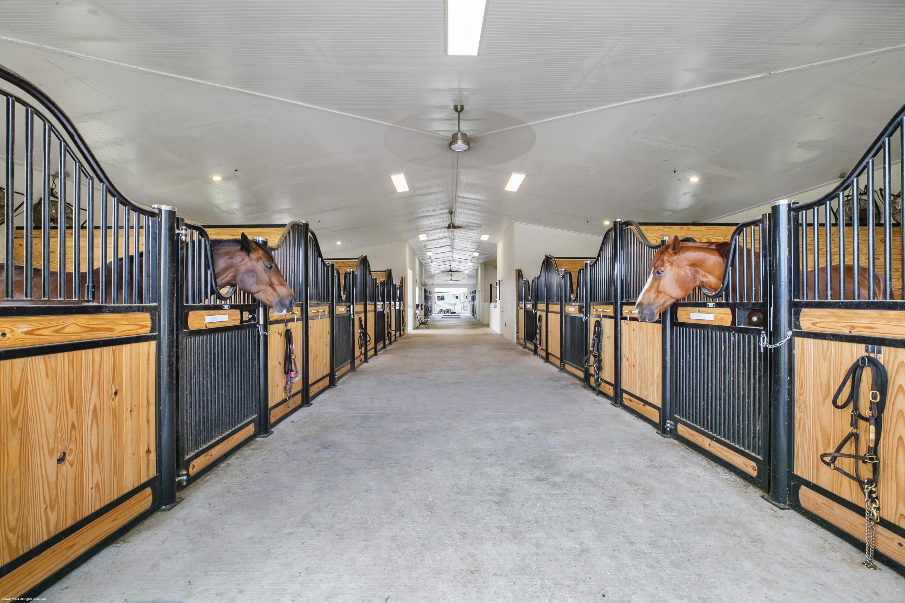 Rustic Ranches - Land