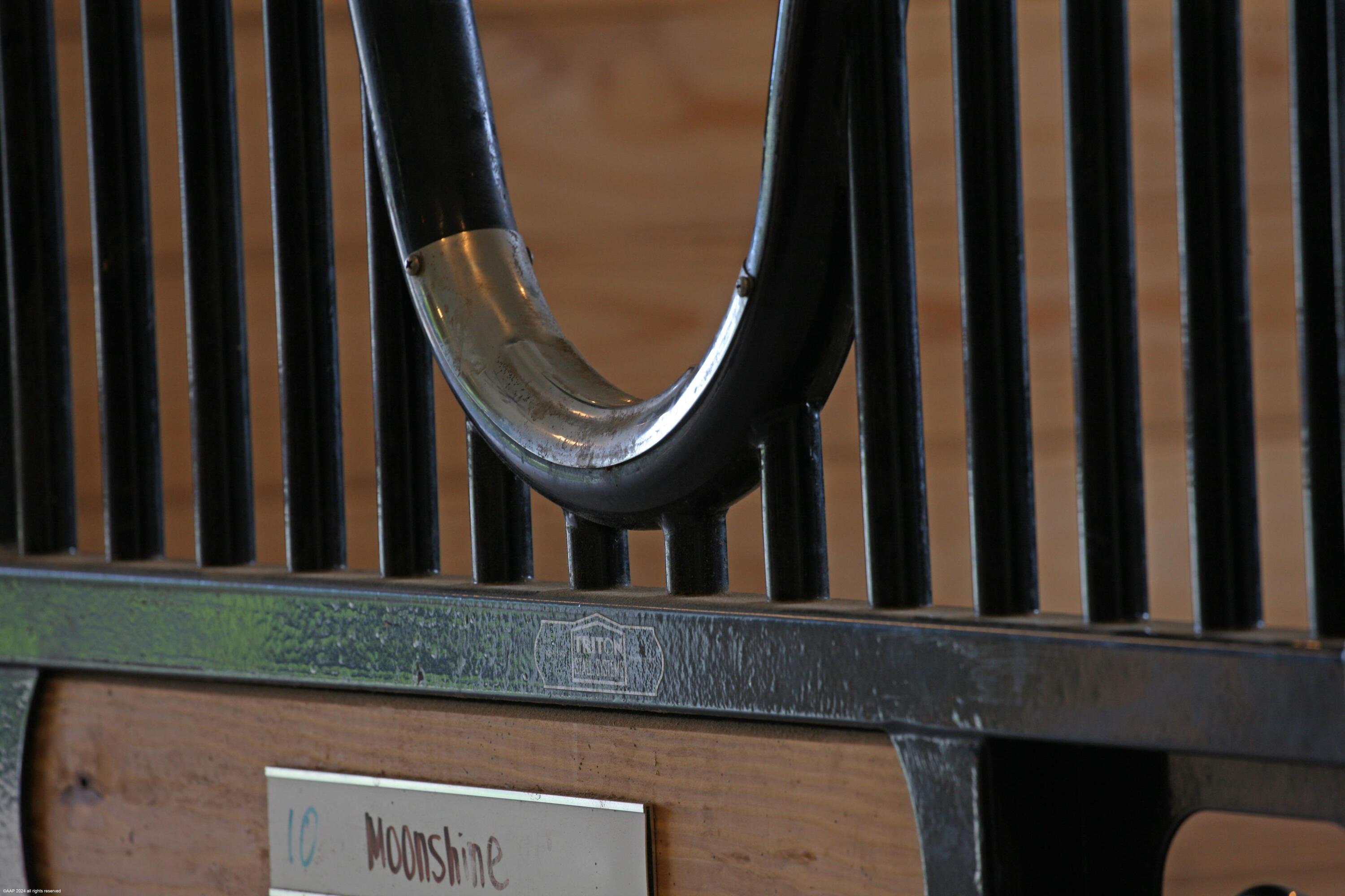 Rustic Ranches - Land