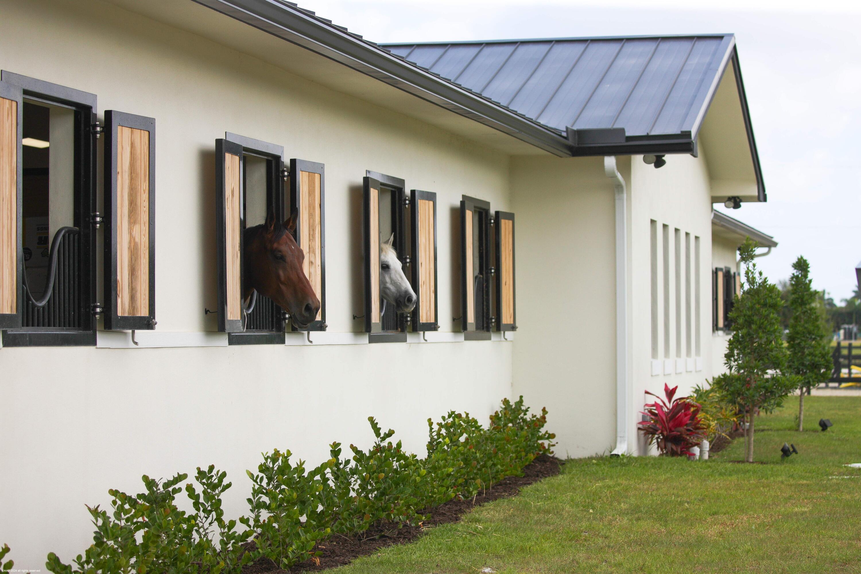 Rustic Ranches - Land