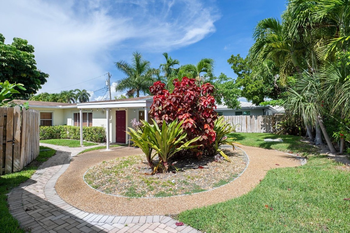 Dolphin Isles - Land