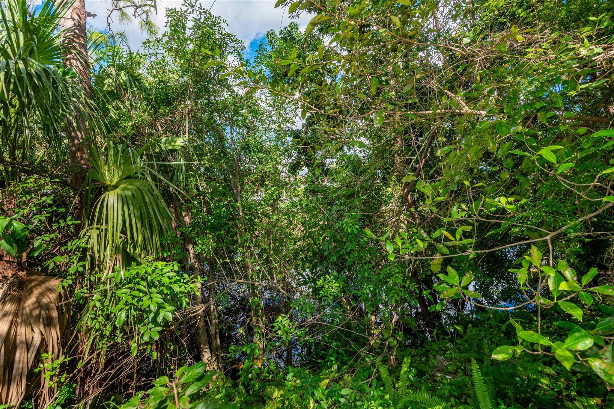 The Dells 64-40 B - Residential