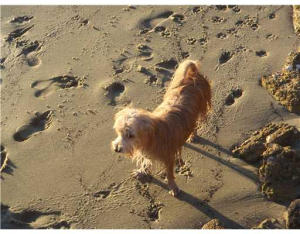 GEMINI COND AS IN DECL IN - Residential