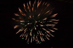 GEMINI COND AS IN DECL IN - Residential