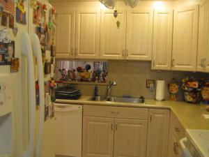 BANYAN SPRINGS - Residential