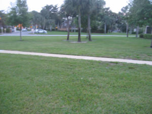 BANYAN SPRINGS - Residential