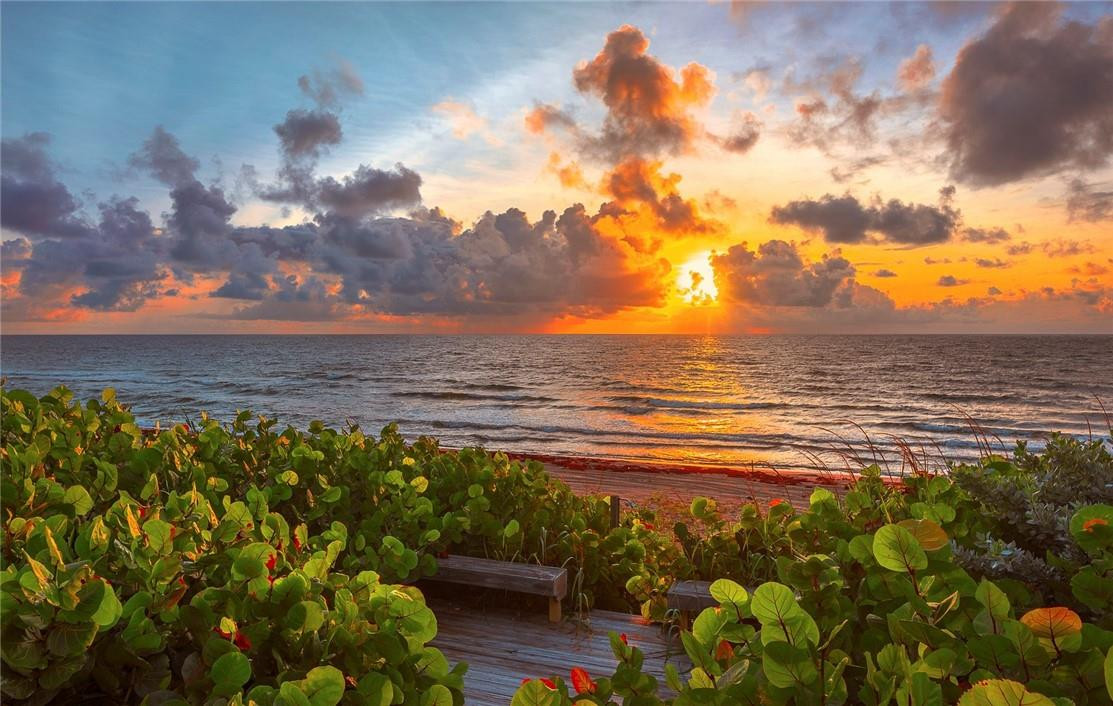 Hillsboro Mile - Residential