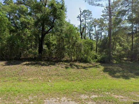 1443 E Odin Drive Dunnellon FL 34434