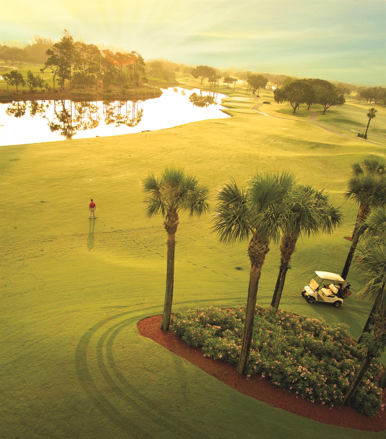 Peppertree - Residential Lease