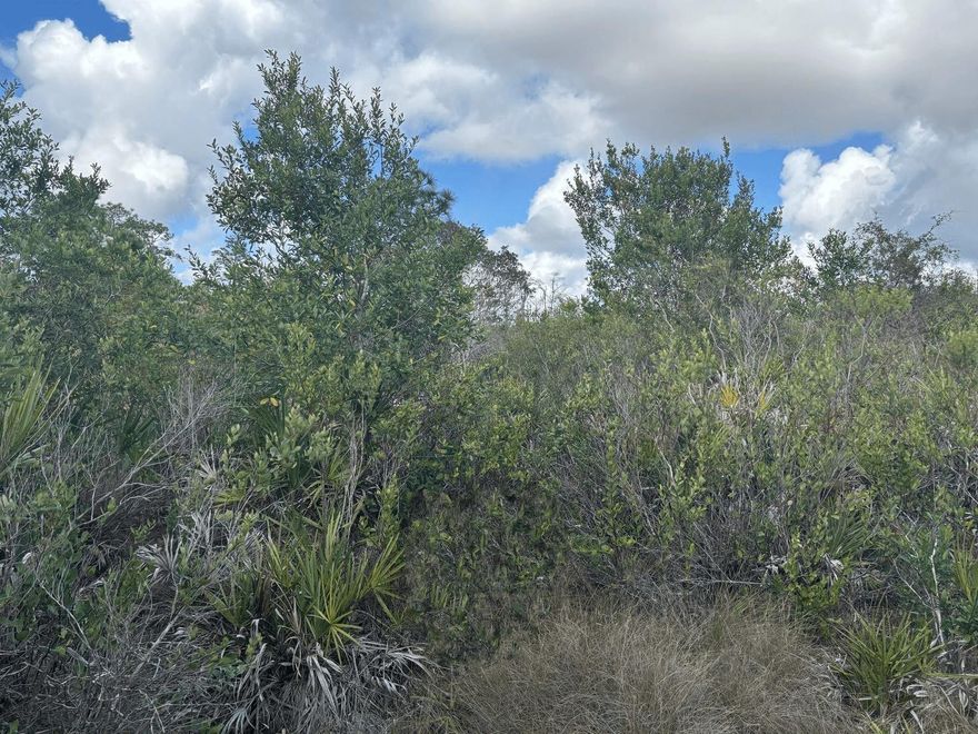 0.31 acres in Holopaw campsite with owner financing.