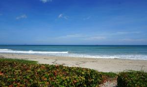 ROYAL HOMESTEAD CONDO - Residential