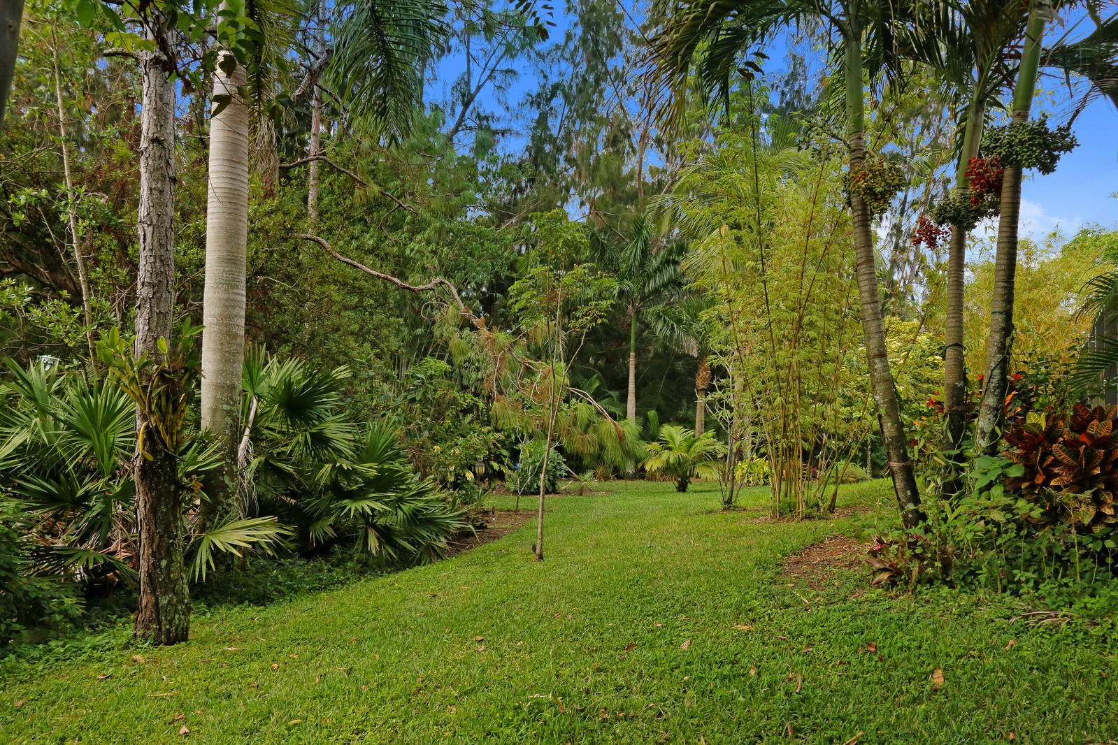 The Acerage - Residential