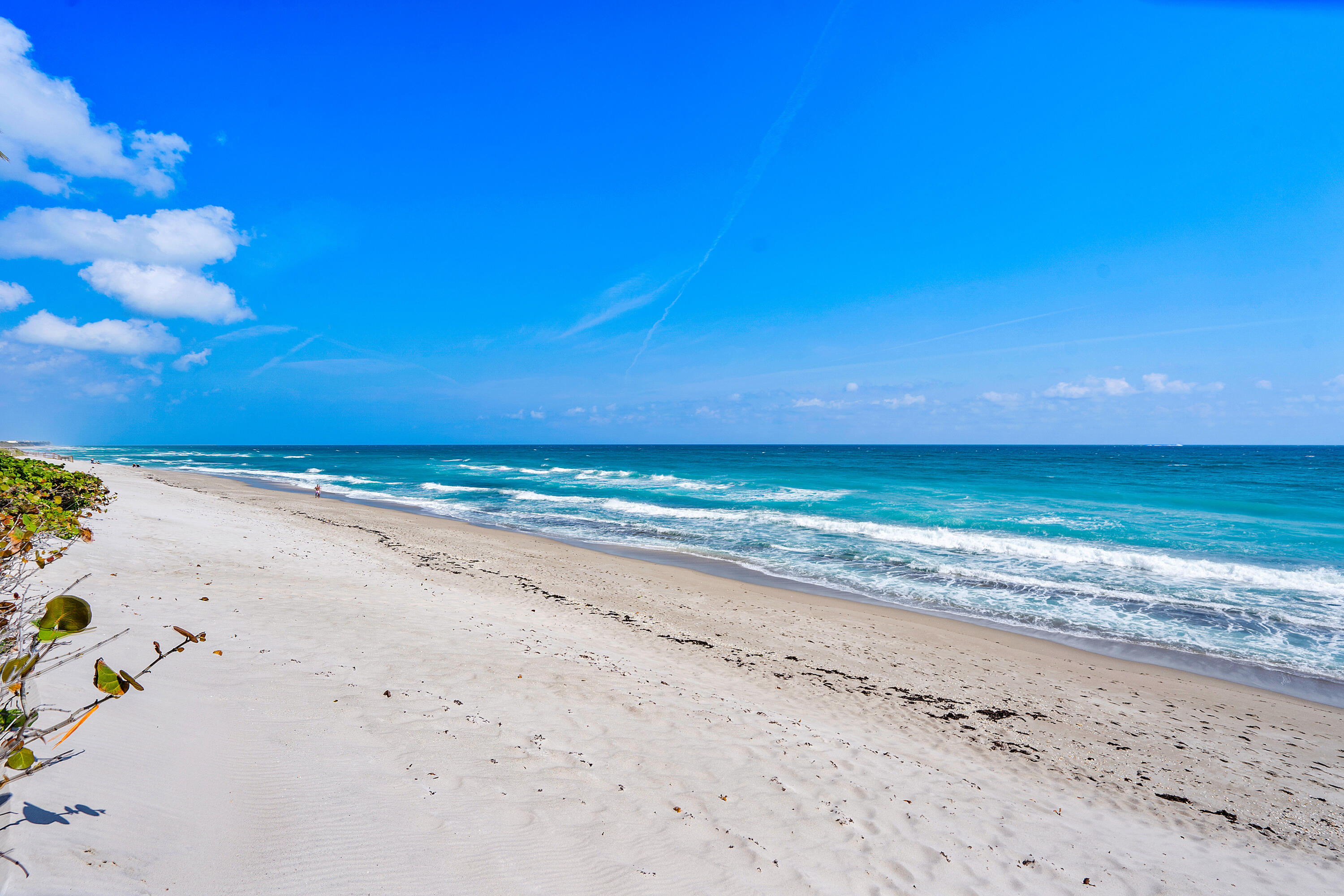 SEAGRAPE CONDO - Residential