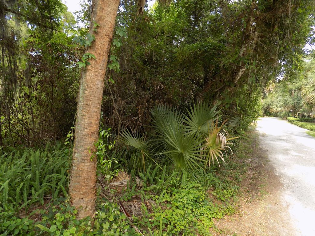 Photo of Tbd Oak Hammock Lane, Fort Pierce, FL 34981 (MLS # B26026216)